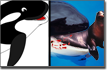 Pictured: the truth about whales.