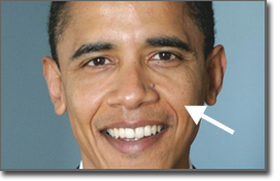Pictured: you may not have noticed this, but Obama is black.
